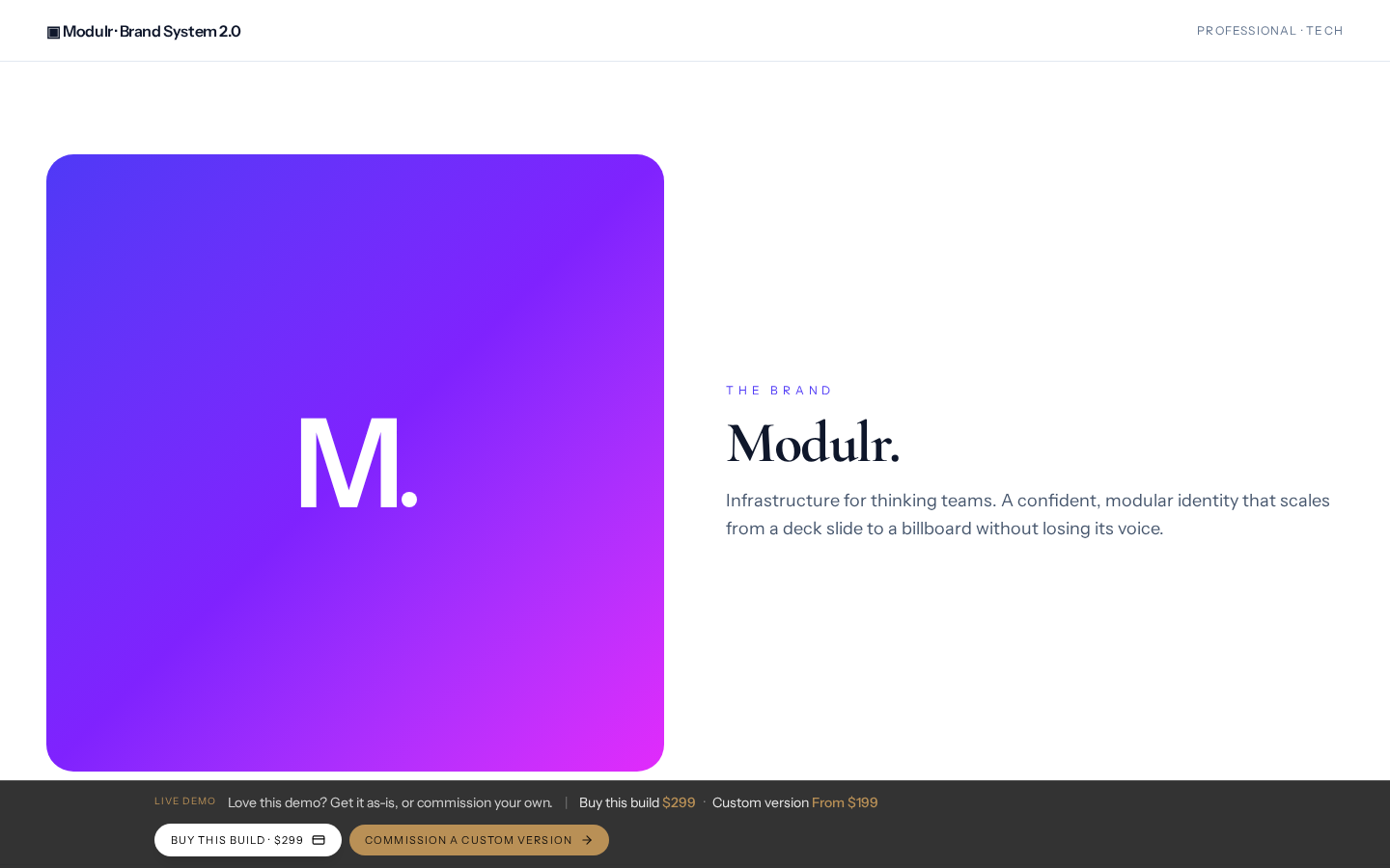 Tech · Professional Brand Kit — Tech / SaaS mockup